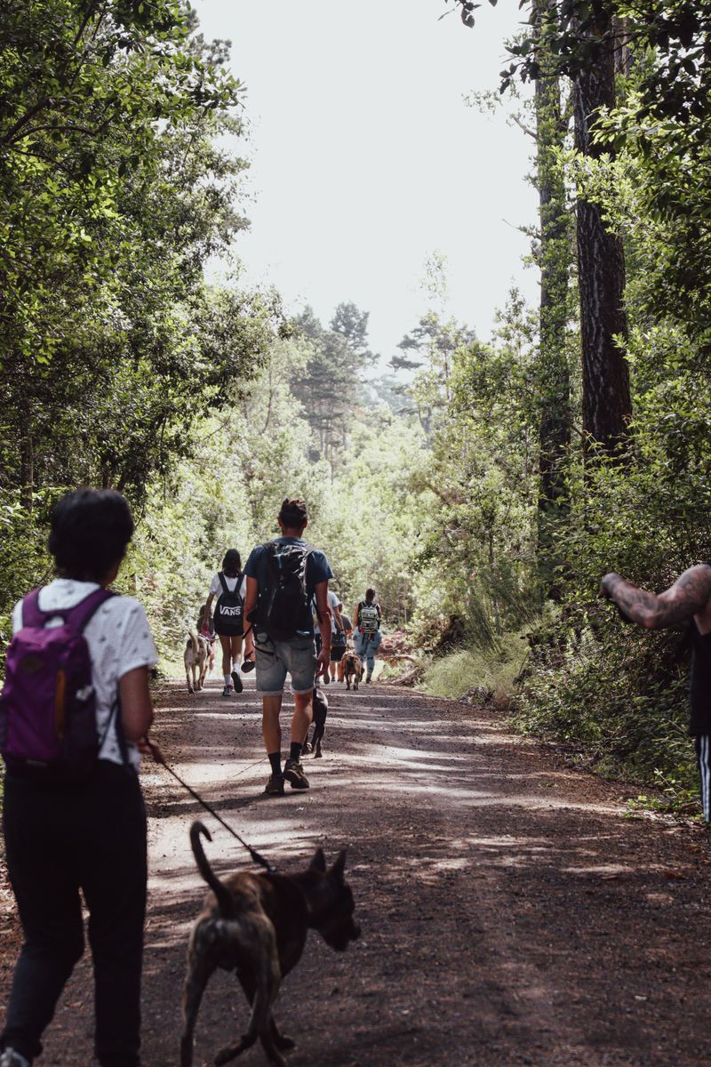 Voluntario de ADEPAC 2