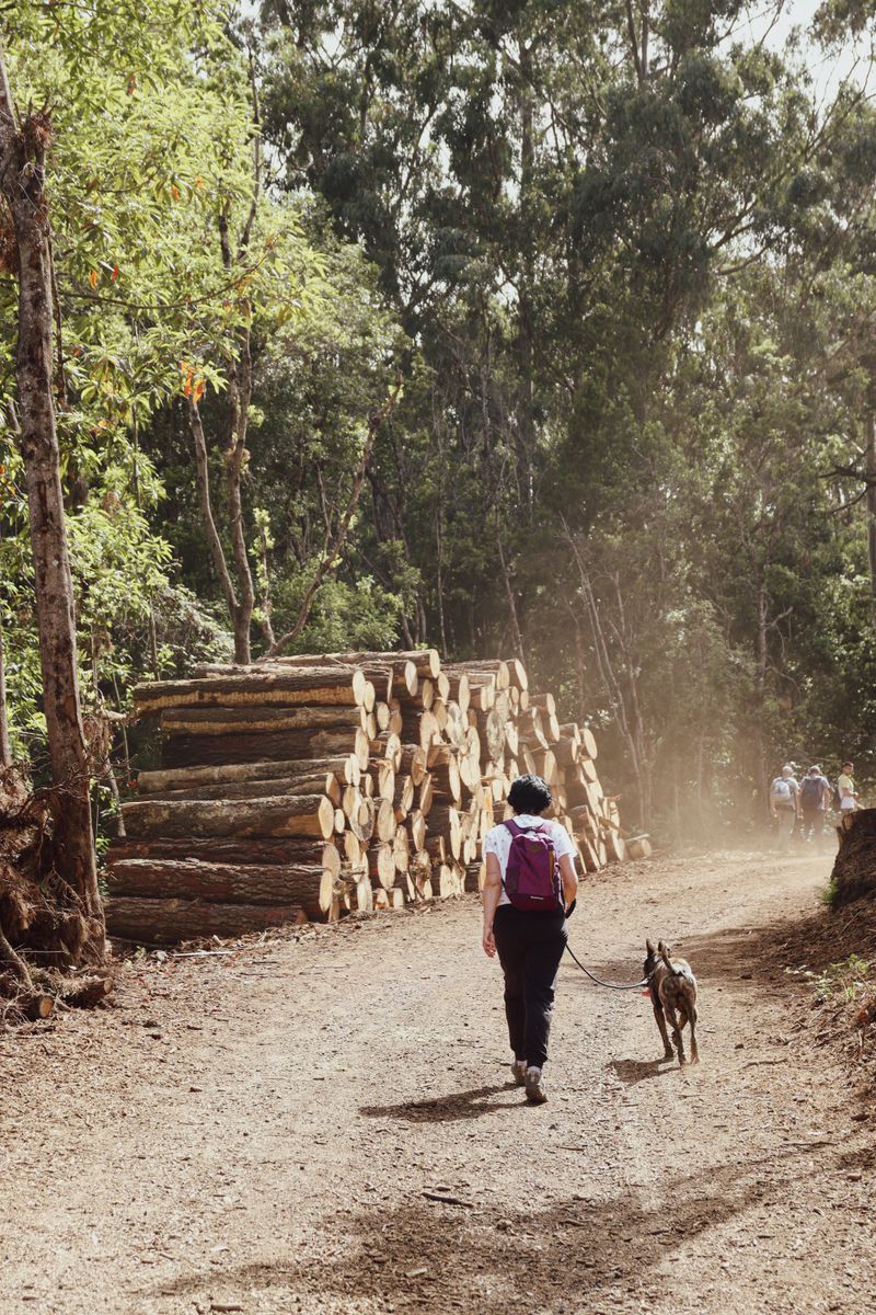 Voluntario de ADEPAC 7