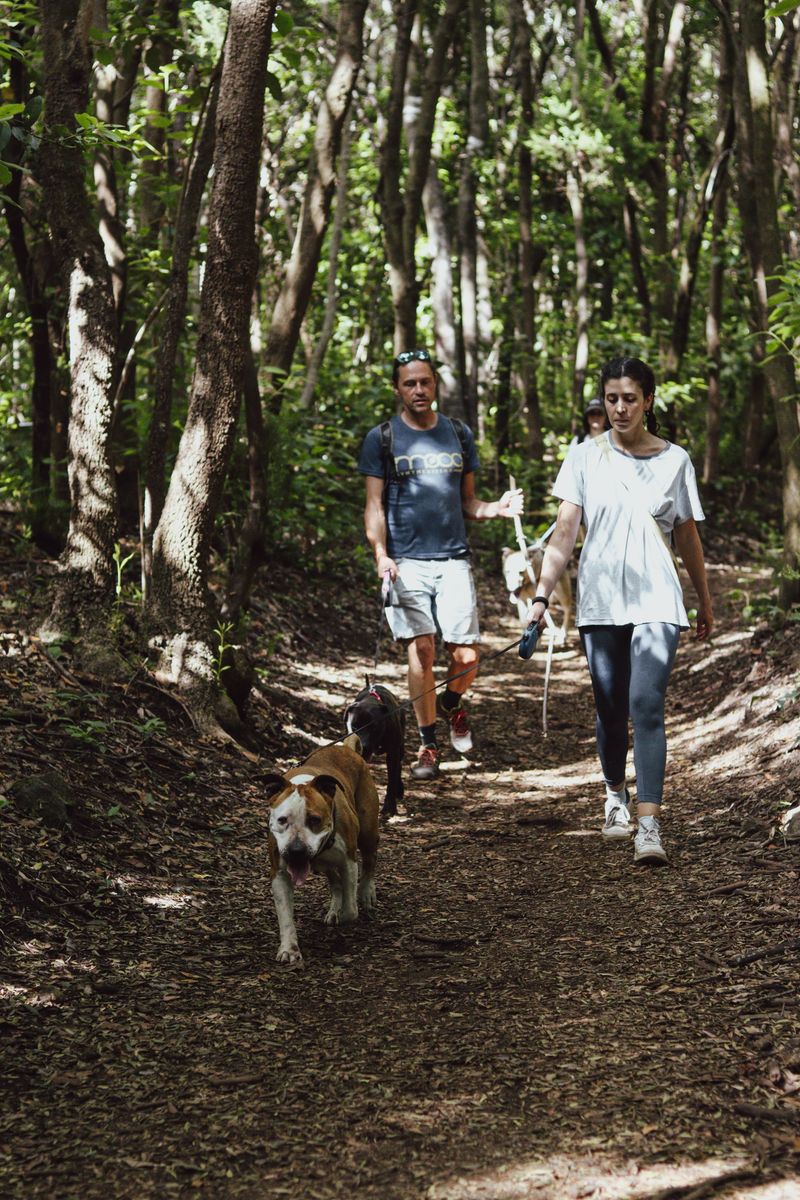 Voluntario de ADEPAC 11