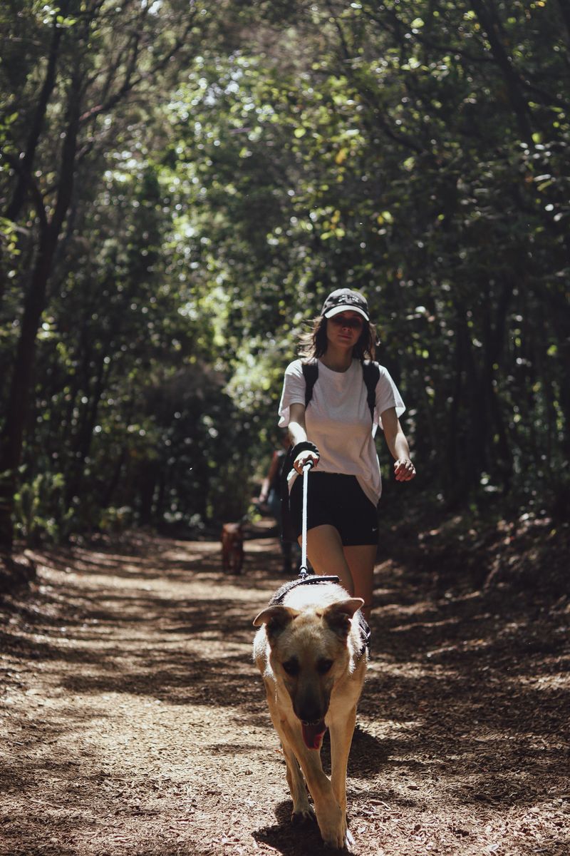 Voluntario de ADEPAC 18