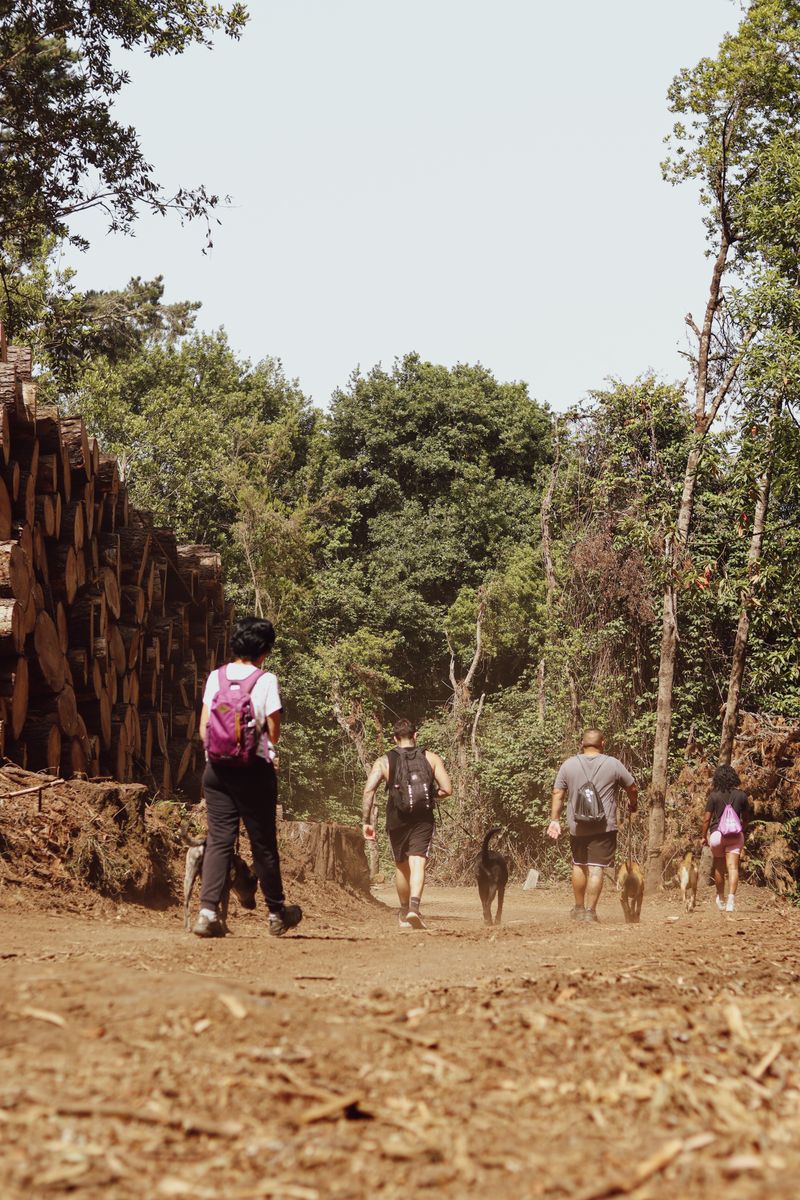 Voluntario de ADEPAC 20
