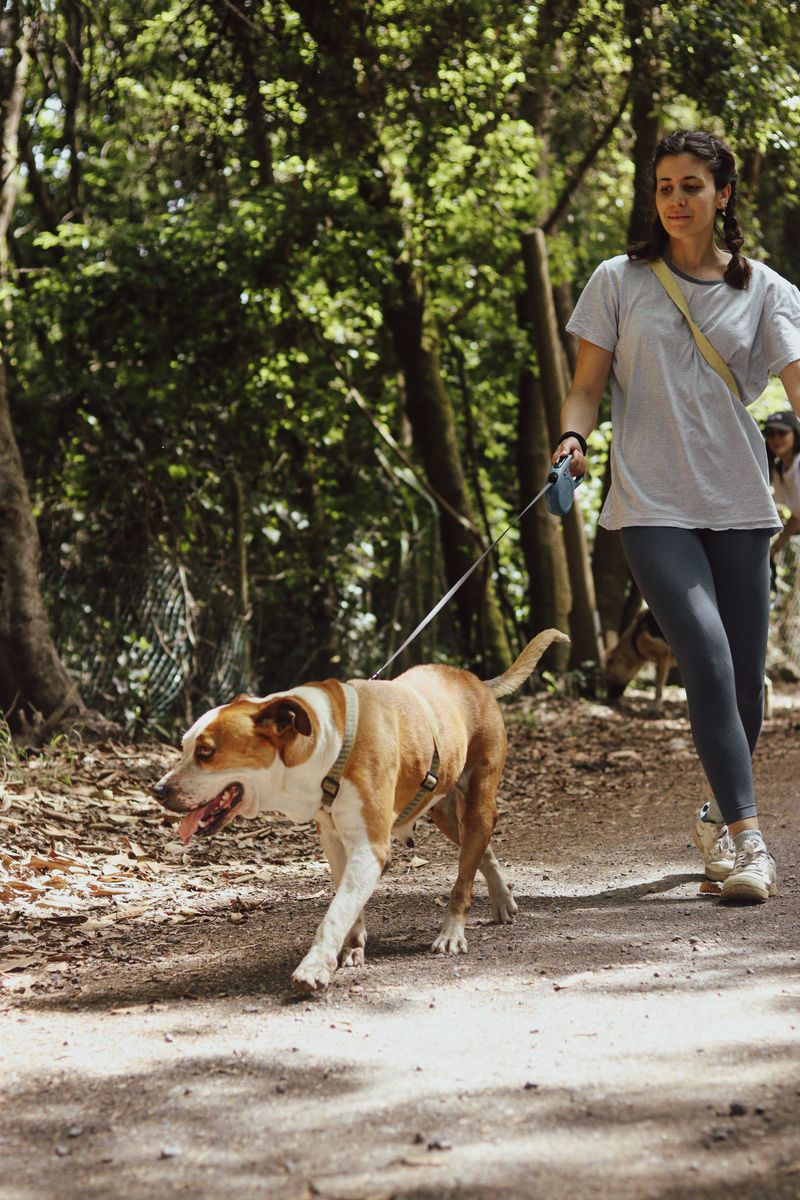 Voluntario de ADEPAC 22