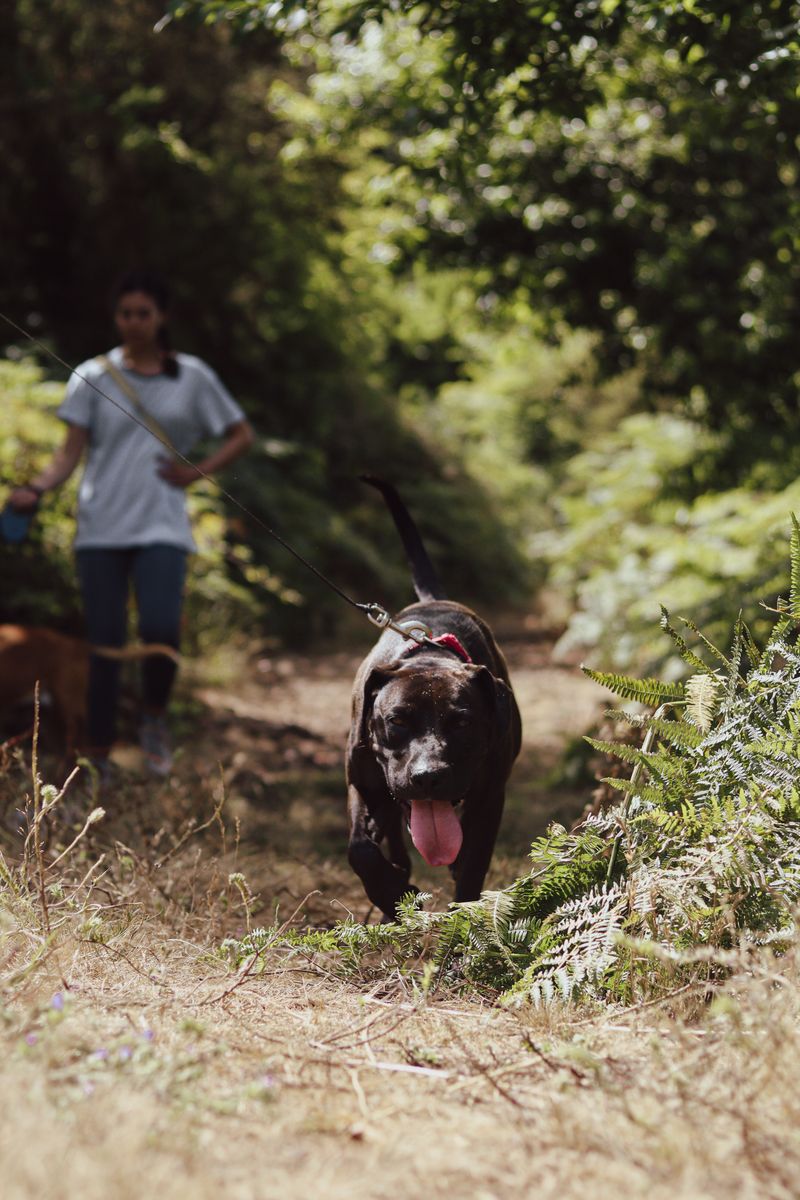 Voluntario de ADEPAC 24