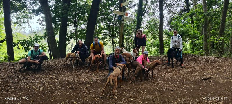 Voluntario de ADEPAC 28