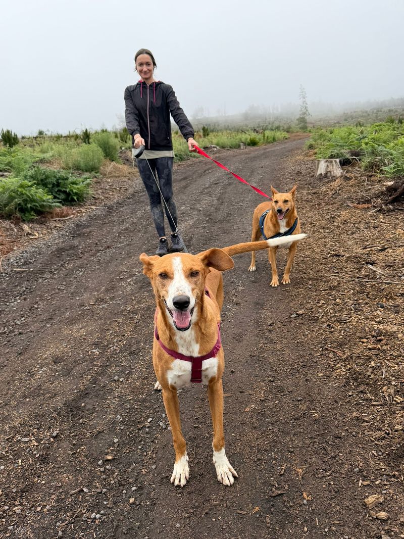Voluntario de ADEPAC 36